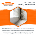 SERVPRO of Carrolton Graphic 6 (1).png