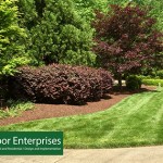 Landscape Installation Services.jpg