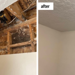 mold mitigation payson UT.png