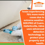 servpro-texas-mold-remediation-advanced-detection.jpg