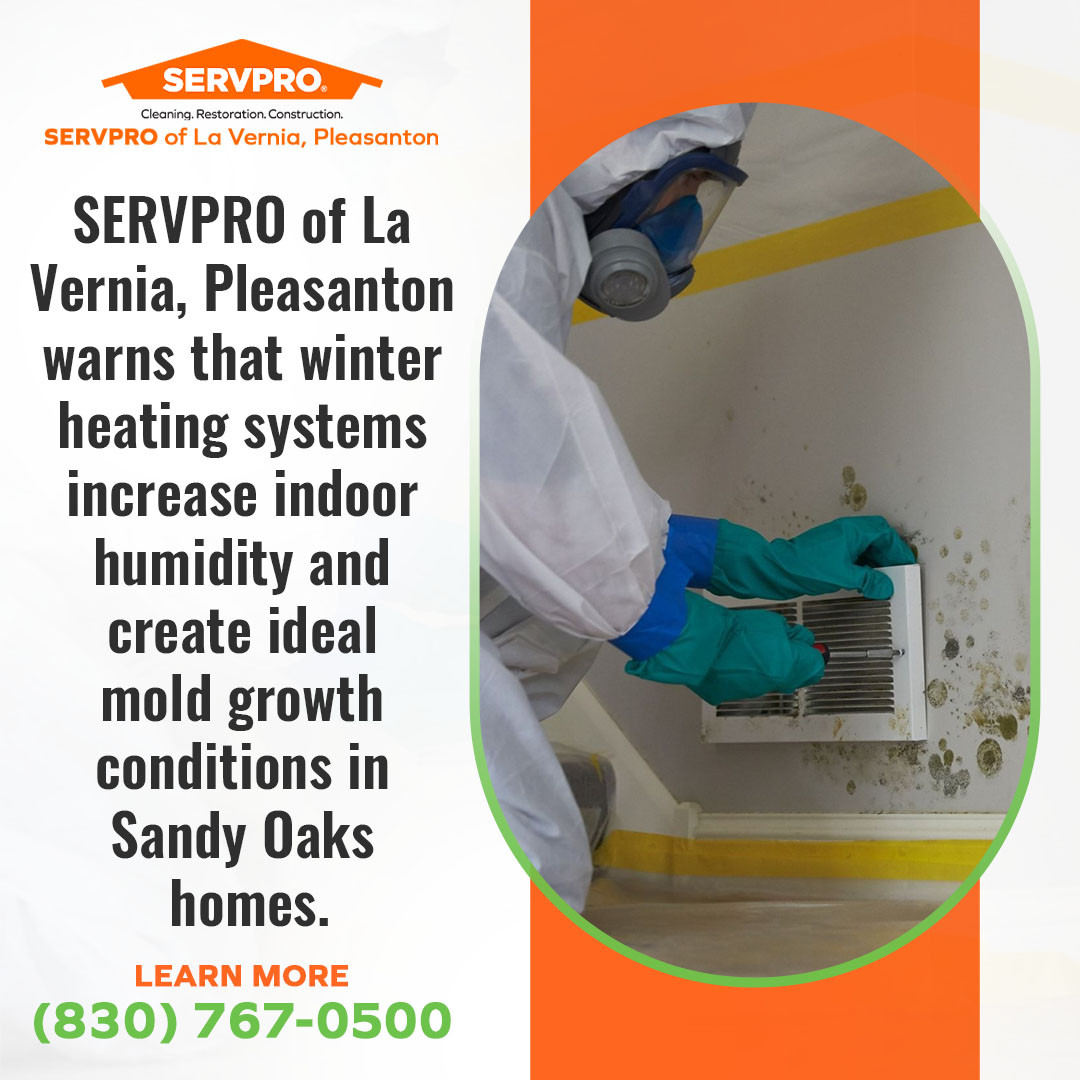 Mold removal by professional