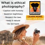 VETPAW-062021-(2).png