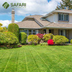 Lawn Care Tips for a Healthy and Vibrant Yard in Boise Idaho.jpg