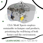 CLG Mold Xperts employs sustainable techniques and products.png