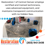 certified and traiend water damage technicians.png