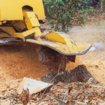 Untitled design (1).png