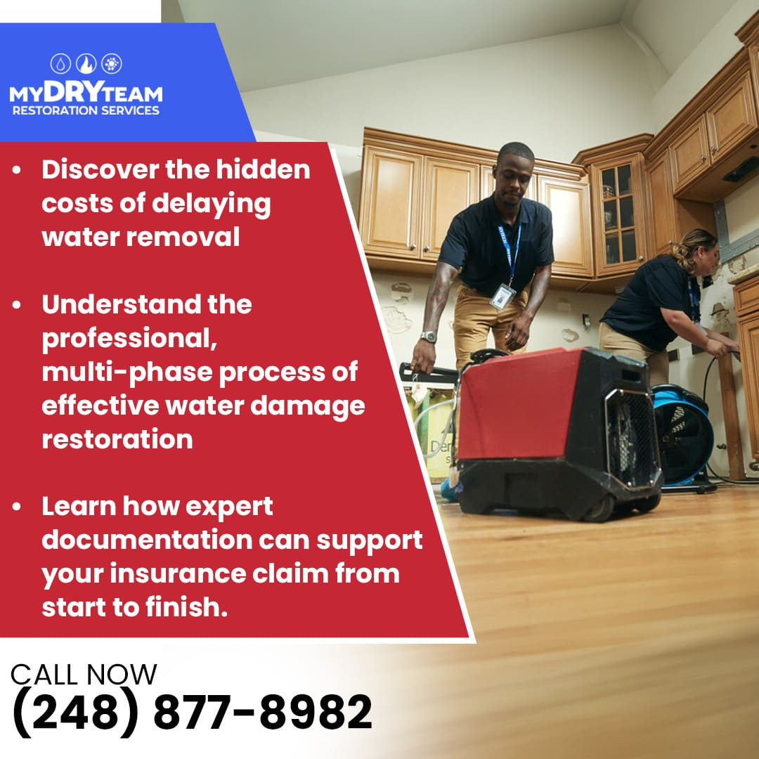 Professional Water Damage Restoration