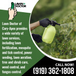 Lawn Doctor 2.jpg