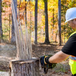 Untitled design (2).png