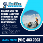Blue Ribbon Roofing Graphic 1.png