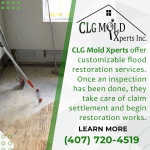 CLGMX-0922-(6).png