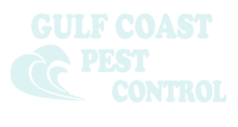 Gulf Coast Pest Control: Your Leading Bed Bug Exterminator In Panama ...