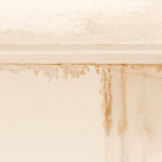 water-damage-restoration-port-st-lucie.png