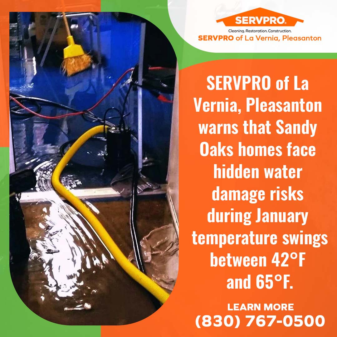 Professional water removal