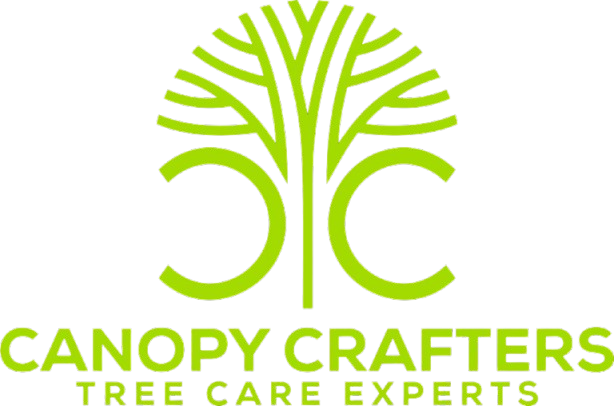 Professional Tree Trimming in Lutz, FL: Protecting Your Property Investment