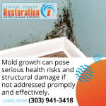 Mold Growth on Wall causing Structural Damage.png