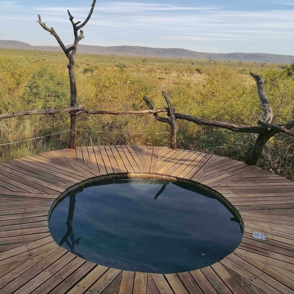 Madikwe Safari Lodge Unveils 2026 Hands-On Conservation Safari Experience