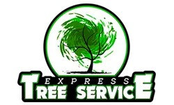 Express Tree Service