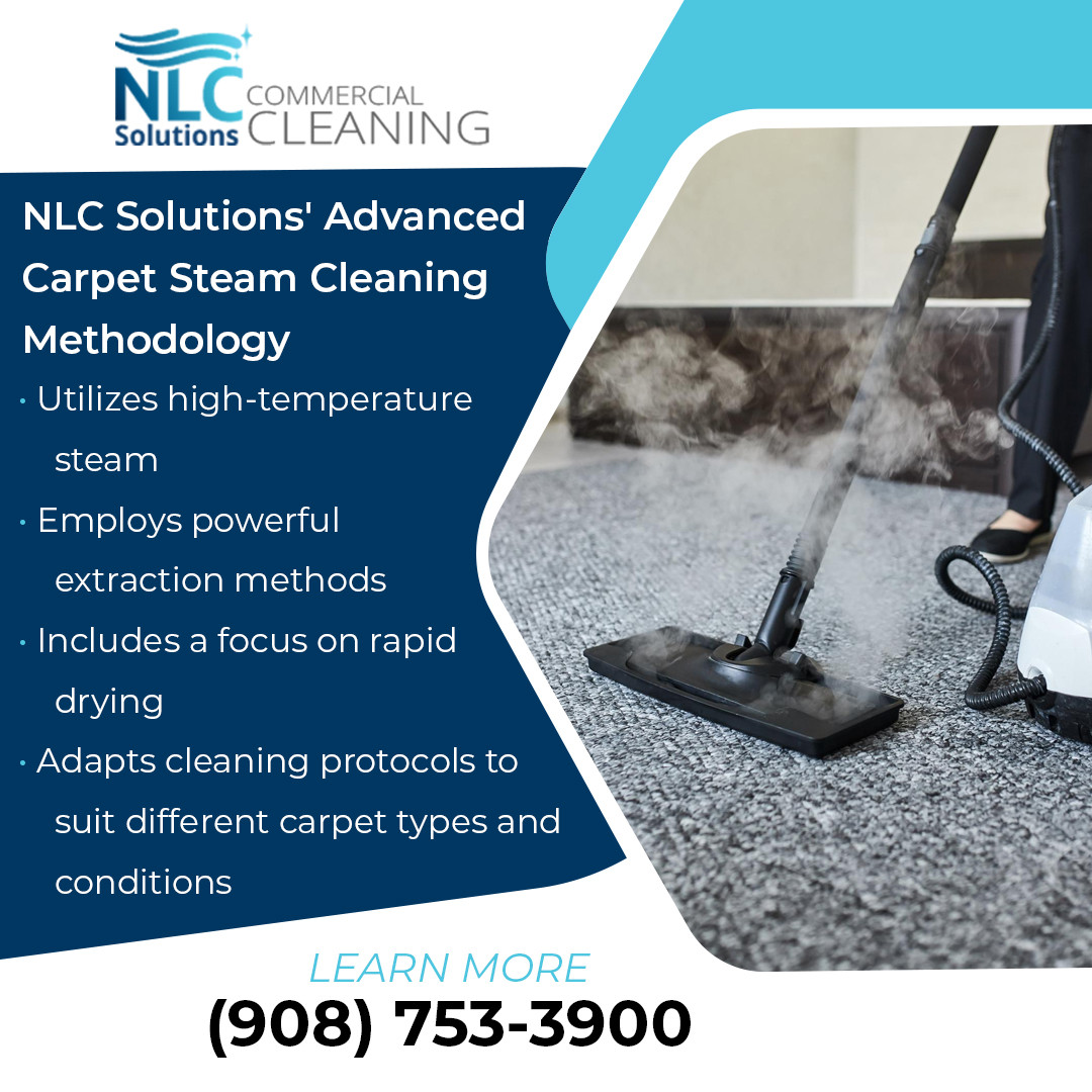 Revitalizing Spaces with NLC Solutions Expert Commercial Carpet