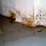 How-to-deal-with-wet-basement-1-800x400.jpg