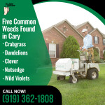 Lawn Doctor 1.jpg