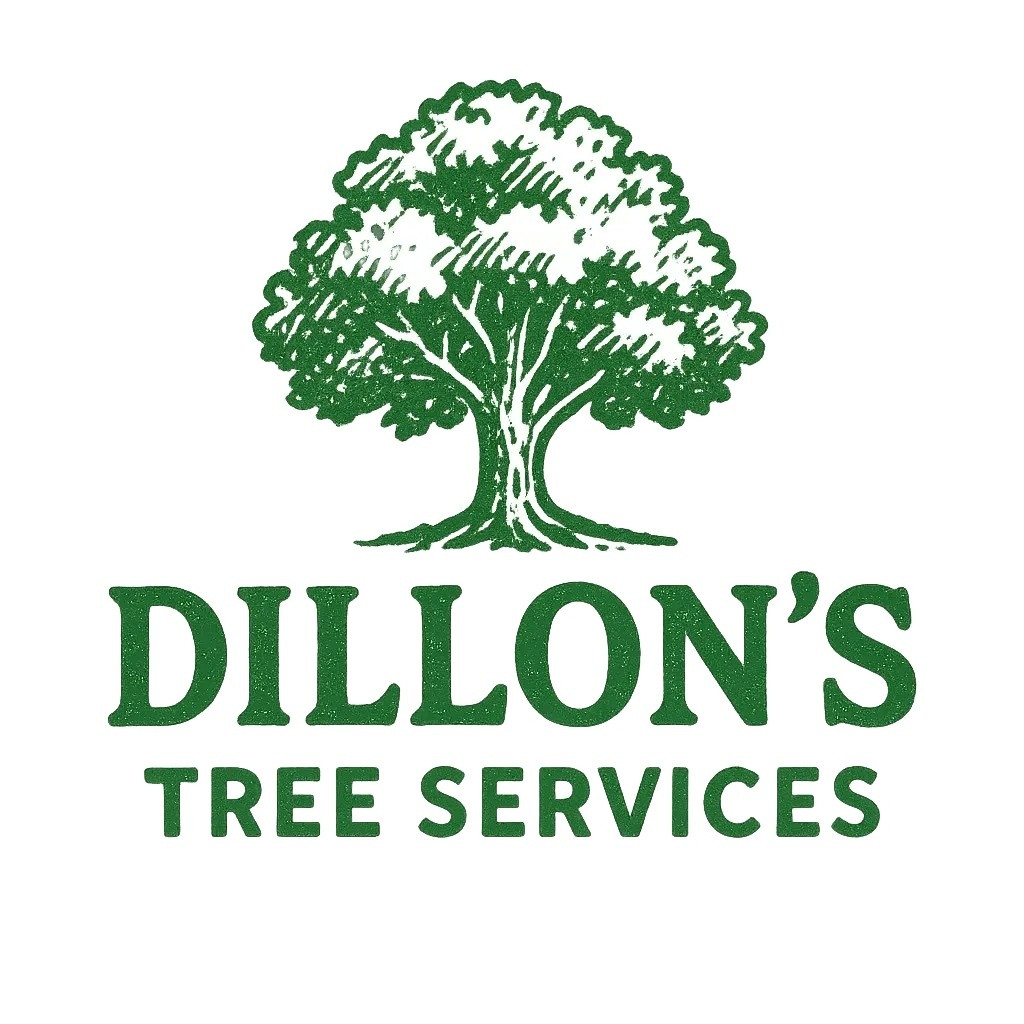 Dillon’s Tree Services