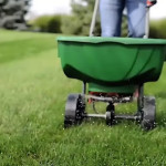 Why Regular Weed Removal is Essential for Lawn Health in Indianapolis, IN.jpg