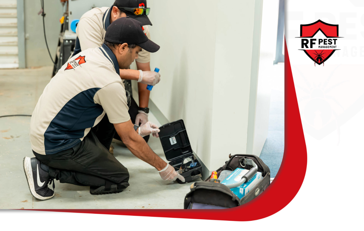 Pest Control Melbourne