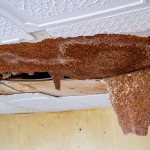 water damage drywall