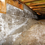 crawlspace-1024x683-1024x683-1.jpg
