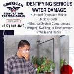 Identifying Serious Water Damage.png