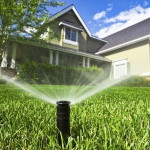 wateringthelawn.jpg