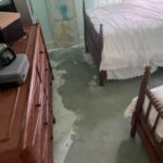 flood damage cleanup.png