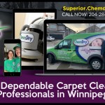 Superior-Chem-Dry-1920x1080-layout167-1gbem7g.jpg