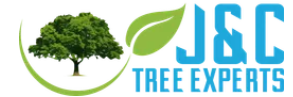 J&C Tree Experts