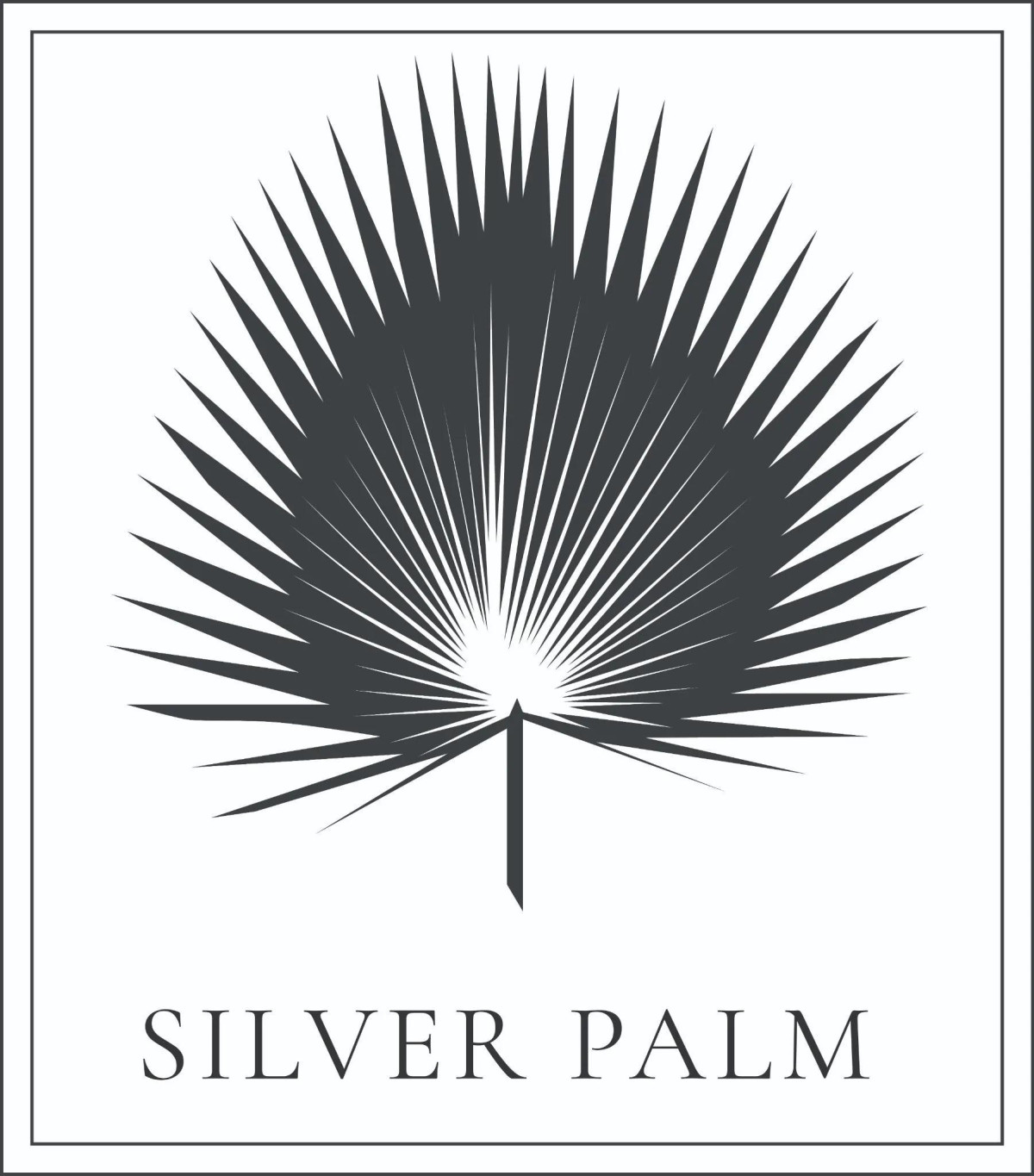 Silver Palm Salon Spa Medspa