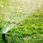 garden sprinkler.jpg