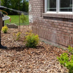 Are Perimeter Pest Barriers More Effective During Certain Times of the Year for Pest Control in Alpharetta, GA.jpg