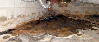How Sealing Your Crawl Space Protects Air Quality and Lowers Utility Costs