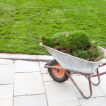caring for newly laid sod.jpg