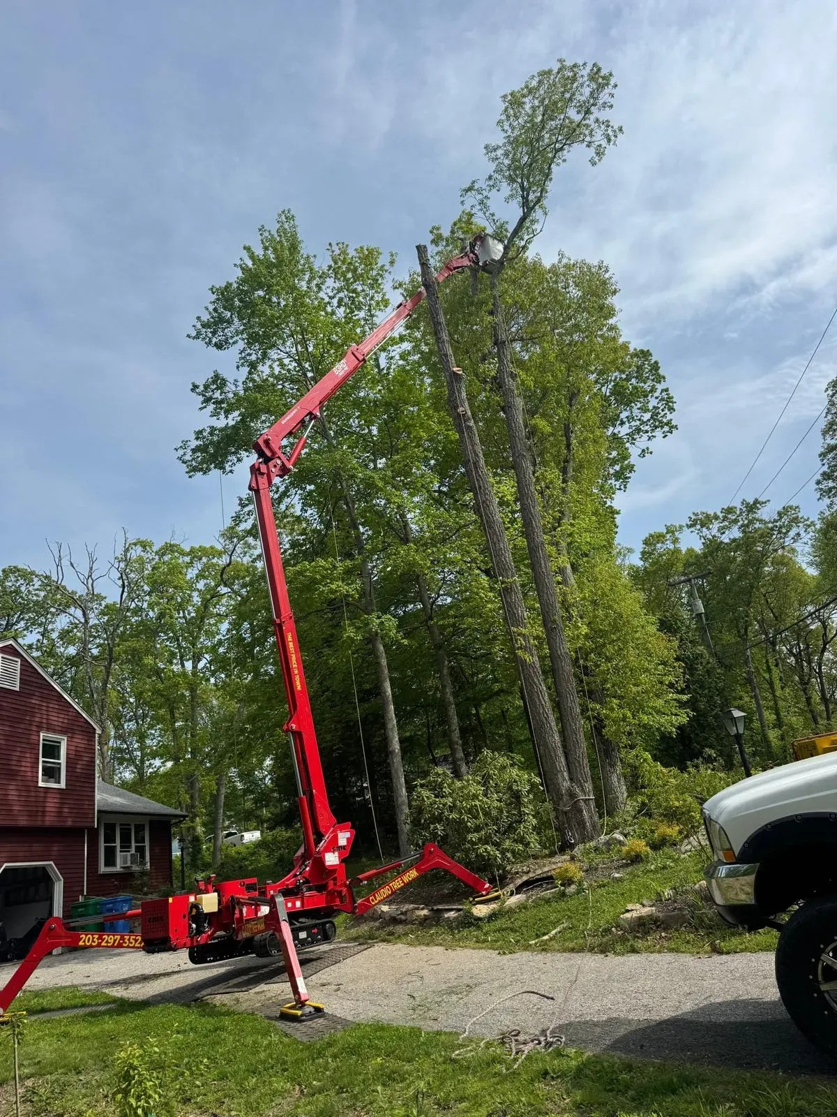 Reliable Tree Removal Services Now Available in Wilton, CT by Claudio Tree Work
