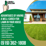 Lawn Doctor 3.png