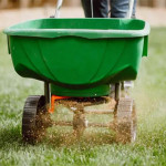 top-strategies-for-achieving-the-perfect-weed-free-lawn-weed-control-in-atlanta-ga-ezgif.com-webp-to-jpg-converter.jpg