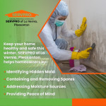 winter-home-mold-remediation-servpro-lavernia.jpg