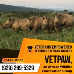 African-Wildlife-Conservation-Group-2.jpg