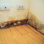 Basement.png