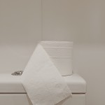 white-toilet-paper-roll-on-ceramic-toilet-3963084.jpg