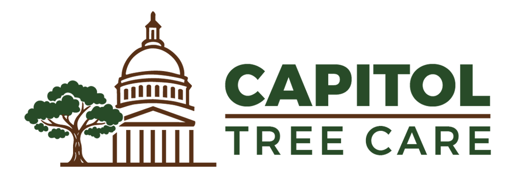Capitol Tree Care