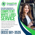 Quantum Agency 4.jpg