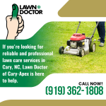 Lawn Doctor 4.png